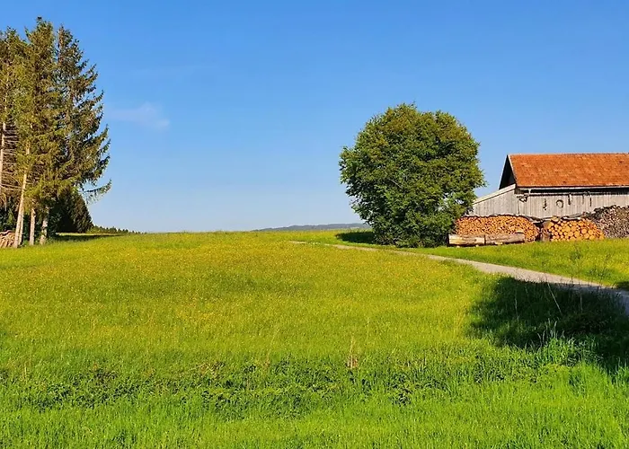 Feriehus Am Hochbergle Haus 131